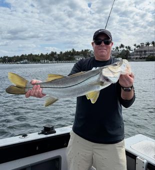 Slick Snook—silver and strong.